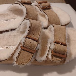 Slides